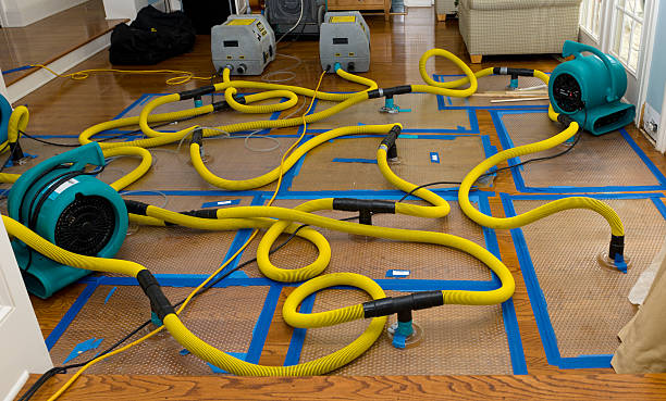 Professional Burst Pipe Water Damage technician working in Hodges, AL